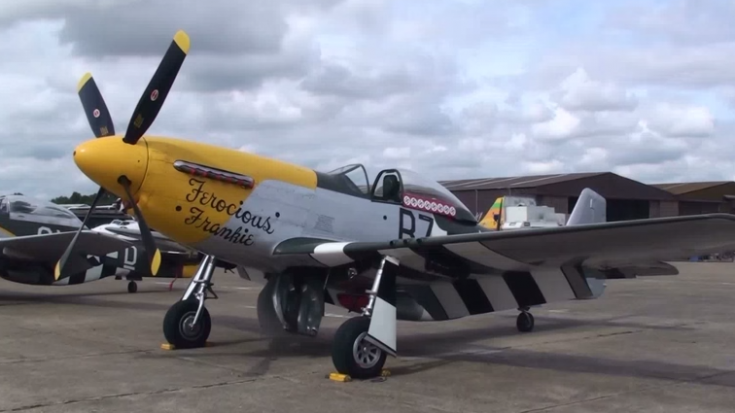 Pure P-51 Mustang Whistle Sounds | World War Wings Videos