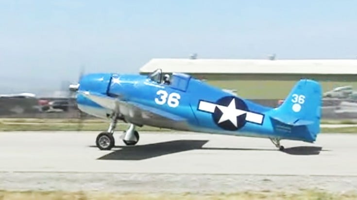 Allied Buddies: Two Hellcats From Across The Ocean | World War Wings Videos