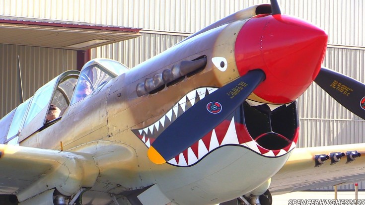 Curtiss P-40 Warhawk Engine Start-Up, Flyby & Engine Shut-Down | World War Wings Videos