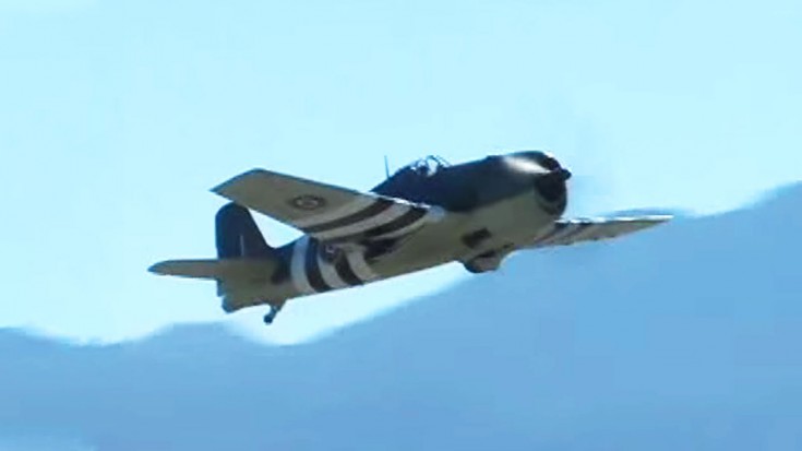 Grumman F6F Hellcat Fighters Take To The Air! | World War Wings Videos