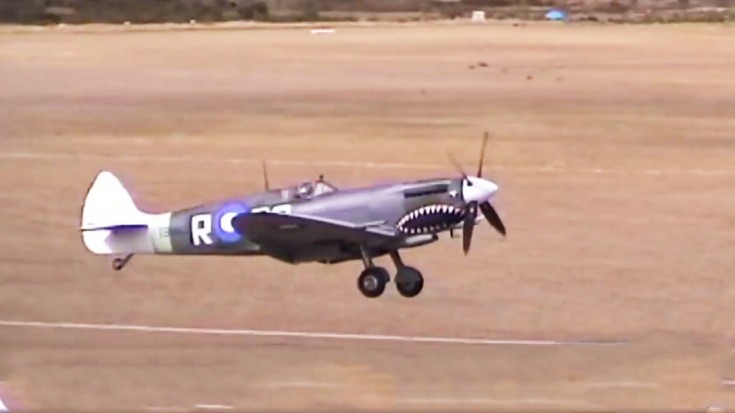 These Spits Will Give You Those Nice Chills | World War Wings Videos