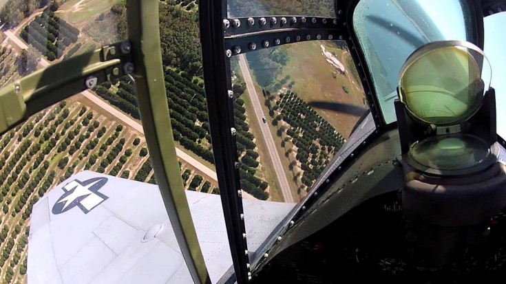 Taking A Grumman Wildcat To The Skies | World War Wings Videos