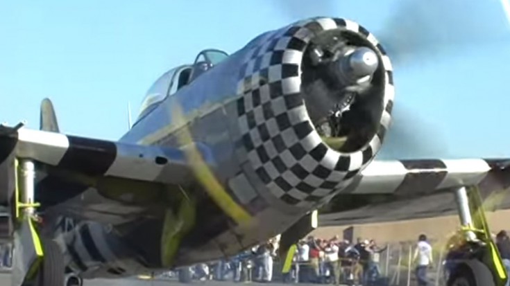 6 Restored Republic P-47 Thunderbolt Fighters | World War Wings Videos
