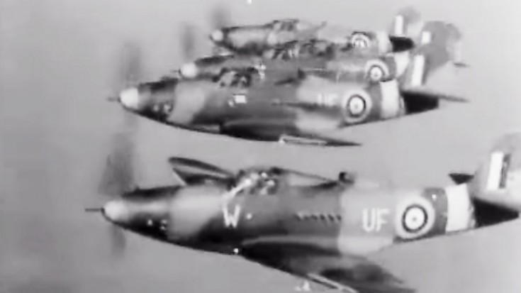 One Man’s Trash: The Soviets Treasured The Airacobras | World War Wings Videos