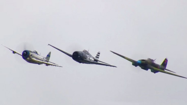 Thunderbolt, Hellcat And Shturmovik Make Some Noise | World War Wings Videos