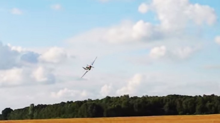 Spectators Get Buzzed By Mustang | World War Wings Videos