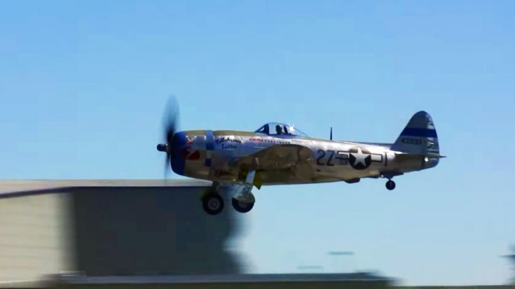 Thunderbolt And Skyraider Showing Off Their Muscle | World War Wings Videos