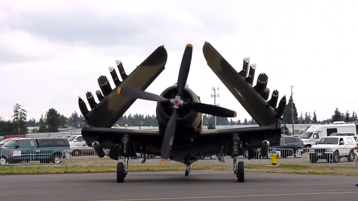 Douglas A-1 Skyraider Starup And Big Backfire | World War Wings Videos