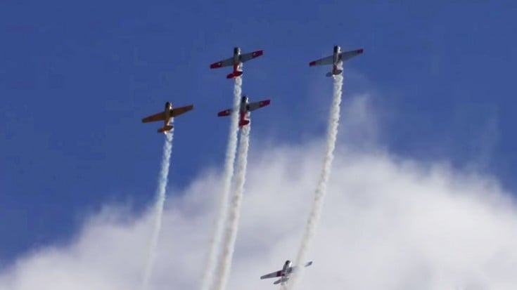 North American T-6 Texans: Spectacular Radial Engine Sounds! | World War Wings Videos