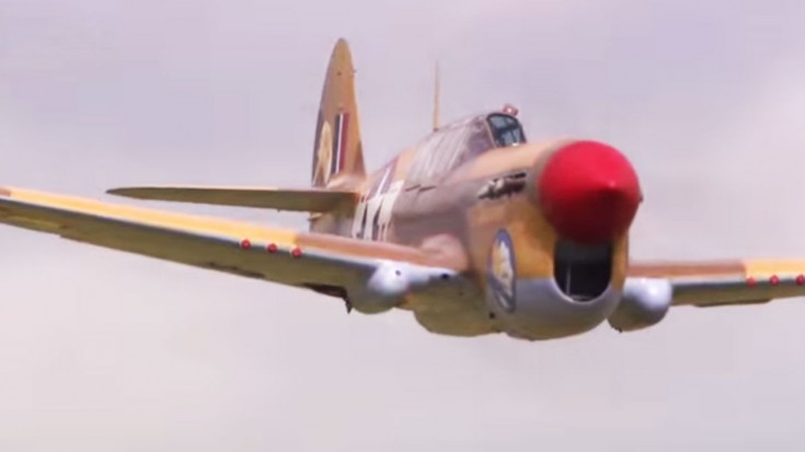 P-40  Warhawk: Awesome Video Montage Of Exterior And Cockpit Shots | World War Wings Videos