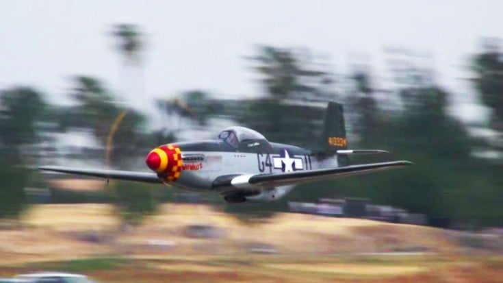 Would You Have The Guts And Steady Hand To Buzz Like That? | World War Wings Videos