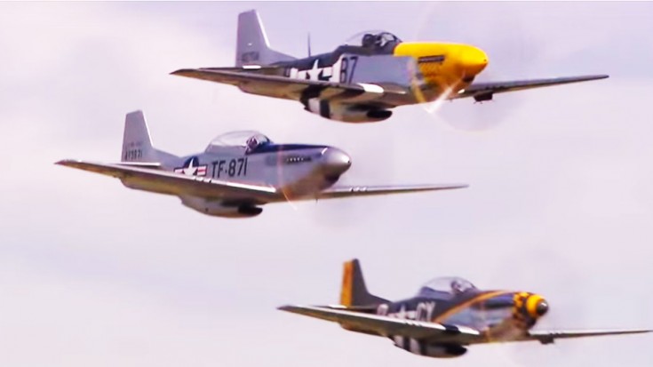 Mustang Madness: Awesome Sound And Camerawork | World War Wings Videos