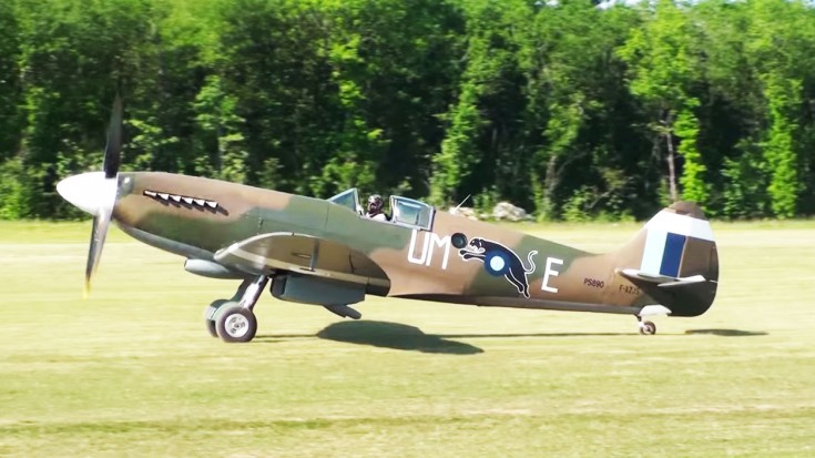 Leaping Black Panther: Photo Reconnoissance Spitfire Takes Off | World War Wings Videos