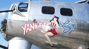 b17-yankeenose