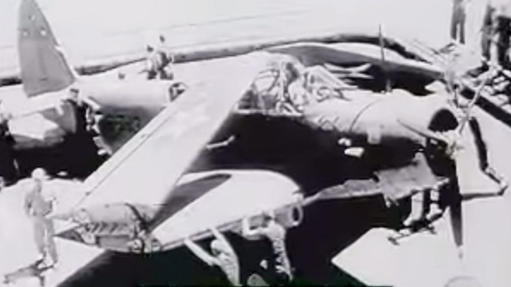 Hook Down, Wheels Down: WWII Pilots Share Some Intense Moments In Combat | World War Wings Videos