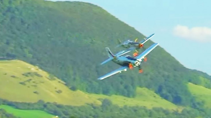 Skyraider And Mustang Show Off What They’re Made Of | World War Wings Videos