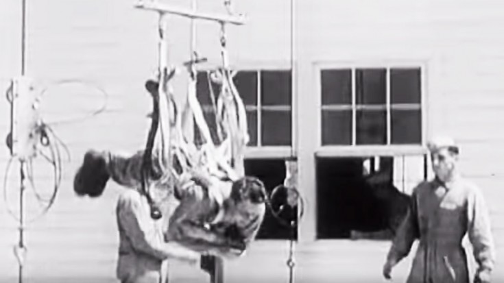 The Way They Trained WWII Paratroopers Was Really… | World War Wings Videos