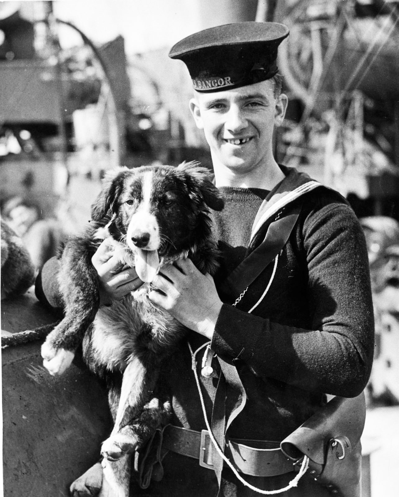 Собак в годы великой отечественной. Собаки Великой Отечественной войны 1941-1945. Военный с собакой в 1941. Собаки на войне. Служебные собаки на войне.