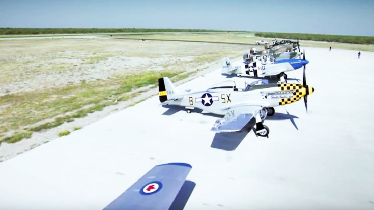 Without These Guys, We Wouldn’t Have Any Warbirds Left | World War Wings Videos