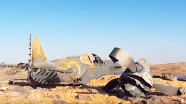 A P-40 Is Found In The Sahara Desert, But Are The Remains Those Of The Pilot? | World War Wings Videos