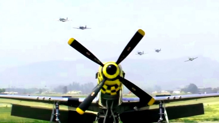 Ever Wonder What 10 Mustangs Flying Overhead Sound Like? | World War Wings Videos