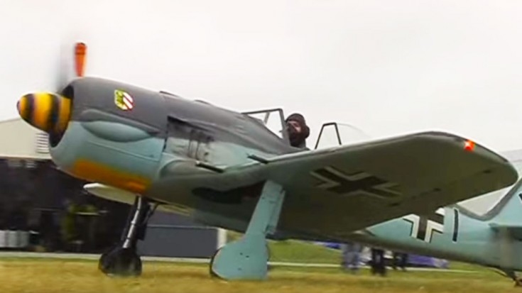 You Can Build Your Own 60% Scale Fw 190 Like This Guy | World War Wings Videos