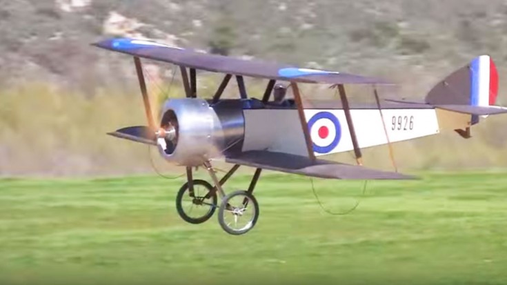 Pup Broke Apart Midair And The Guys On The Ground Lost It | World War Wings Videos
