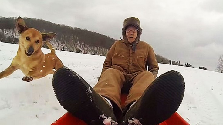 90 Year Old WWII Vet Hops On A Sled- His Dog Follows Him All The Way Down | World War Wings Videos