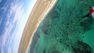 RC Plane Crashes Into Sea And Catches Wildlife On Film