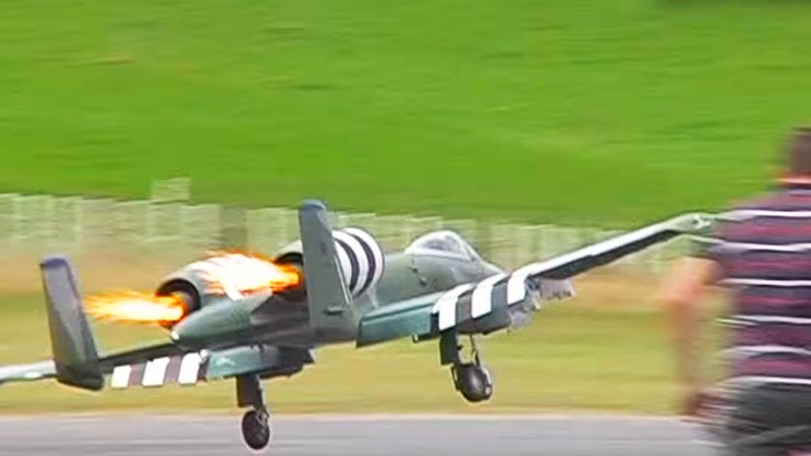 RC A-10 Attempts Landing With Both Engines On Fire | World War Wings Videos