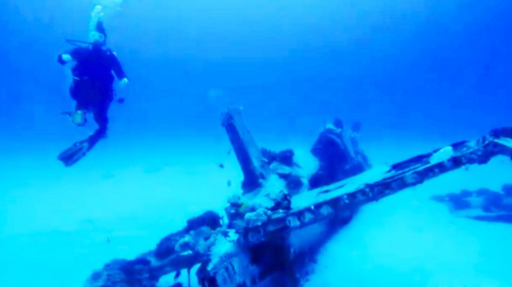 Diver Captures A Corsair Like You’ve Never Seen It Before | World War Wings Videos