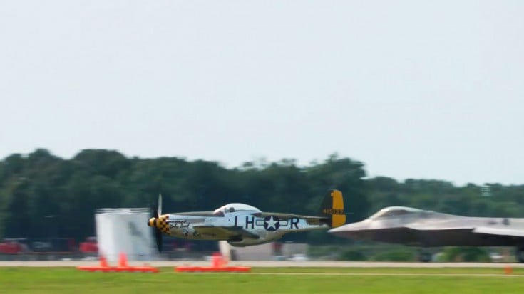 Mustang Screaming And Hugging The Ground Like There’s No Tomorrow | World War Wings Videos