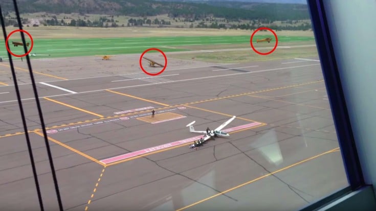 Planes Take Off By THEMSELVES — It’s A Crazy Phenomenon | World War Wings Videos