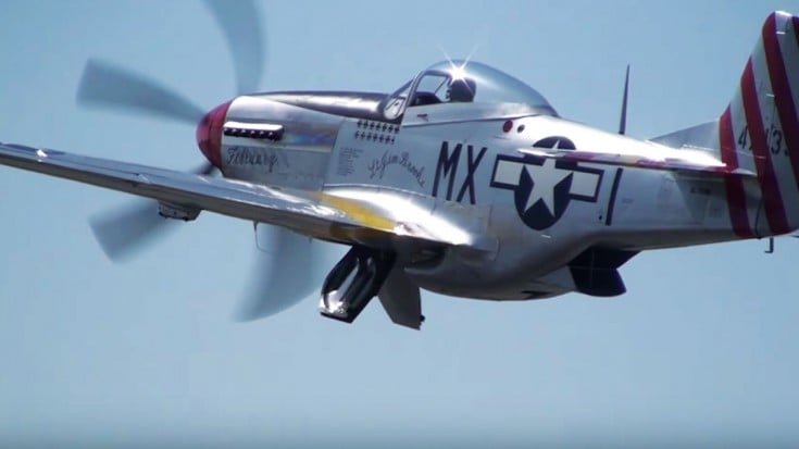 Non-Stop Flybys Of 11 Mustangs At One Show–AWESOME! | World War Wings Videos