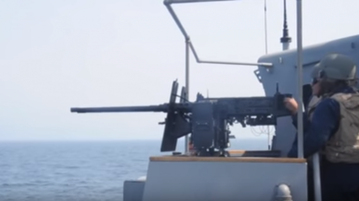 Navy Firing Twin 50 Cal Machine Gun and Cannons | World War Wings Videos