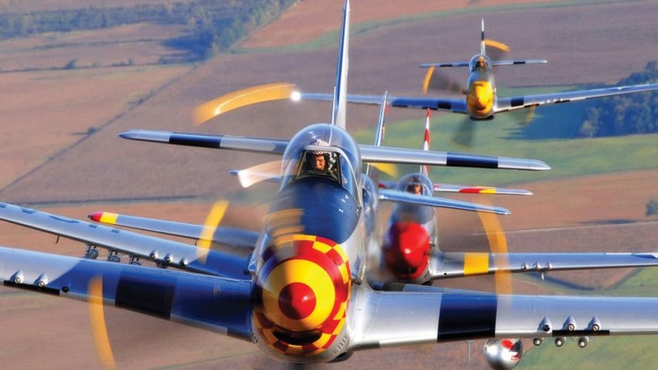 Only True Warbird Fanatics Will Get 85% On This Quiz | World War Wings Videos