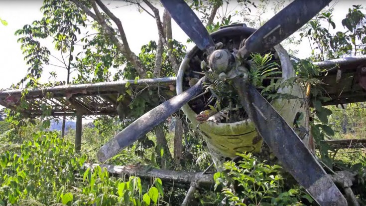 The Time A Cold War Plane Was Discovered In the Peruvian Jungle | World War Wings Videos