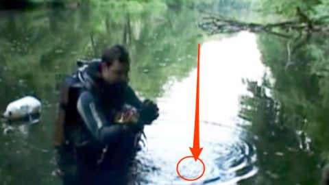 He Found Dead WWII Pilot at the Bottom of This Pond- Will Make Your Gut Sink | World War Wings Videos