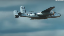 P-51 Mustangs and B-25 Mitchells Dive Attack | World War Wings Videos
