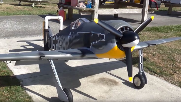 Colossal RC Focke-Wulf 190 Roars Past The Competition | World War Wings Videos