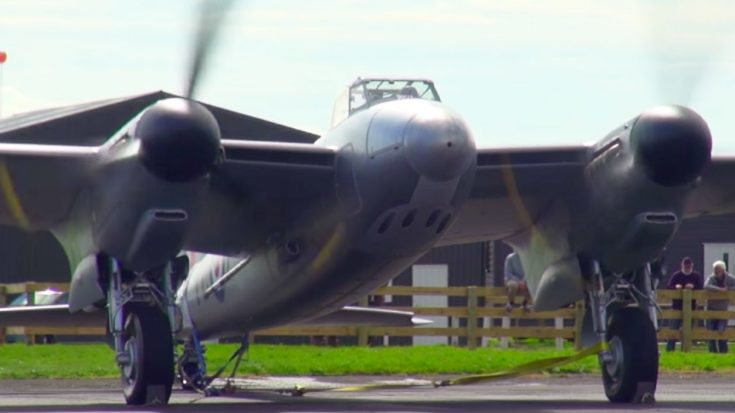 Mosquito Buzzing Its Massive Rolls-Royce Engines | World War Wings Videos