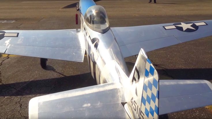 Shiny, Fast And Flawless – RC P-51 Mustang Soaring In The Sun | World War Wings Videos