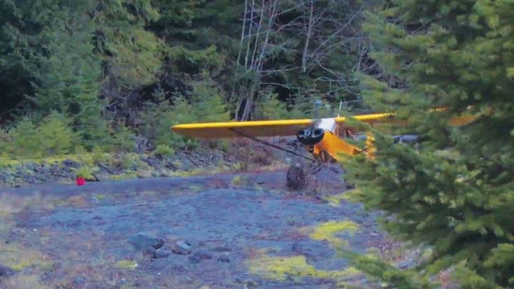 Pilot Takes Off And Lands In Tough Terrain | World War Wings Videos