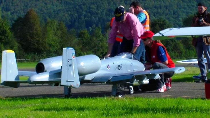 RC A-10 Warthog With Loud Gatling Gun | World War Wings Videos