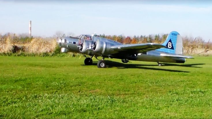 After 17 Years, This Manned 1/3 Scale B-17 Took Off-But Wasn’t Supposed To | World War Wings Videos