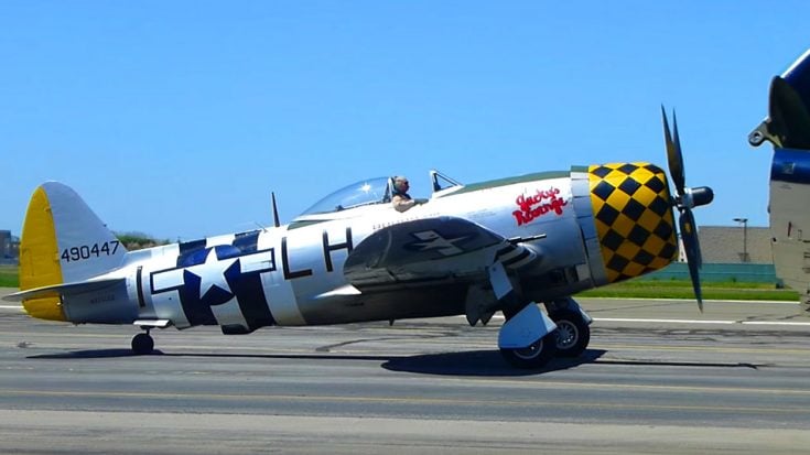 Tribute To The P-47 Pilot Lost In Hudson River Crash | World War Wings Videos