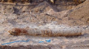 News| Colossal WWII-Era Bomb Unearthed On Florida Beach