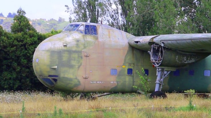After 60 Years In A Forest Airfield This Decaying Bristol Freighter Will Live Again | World War Wings Videos