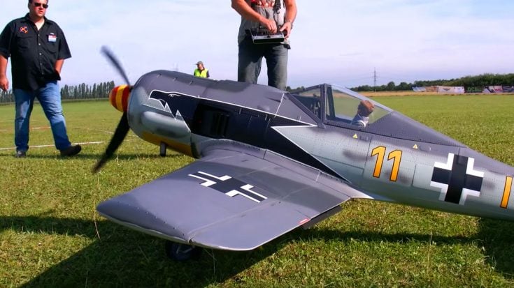 Large Focke-Wulf Fw 190 RC Model Cuts Through The Sky | World War Wings Videos