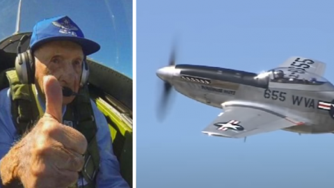 WWII Mustang Pilot Takes Controls, Tests a Few Old Tricks | World War Wings Videos